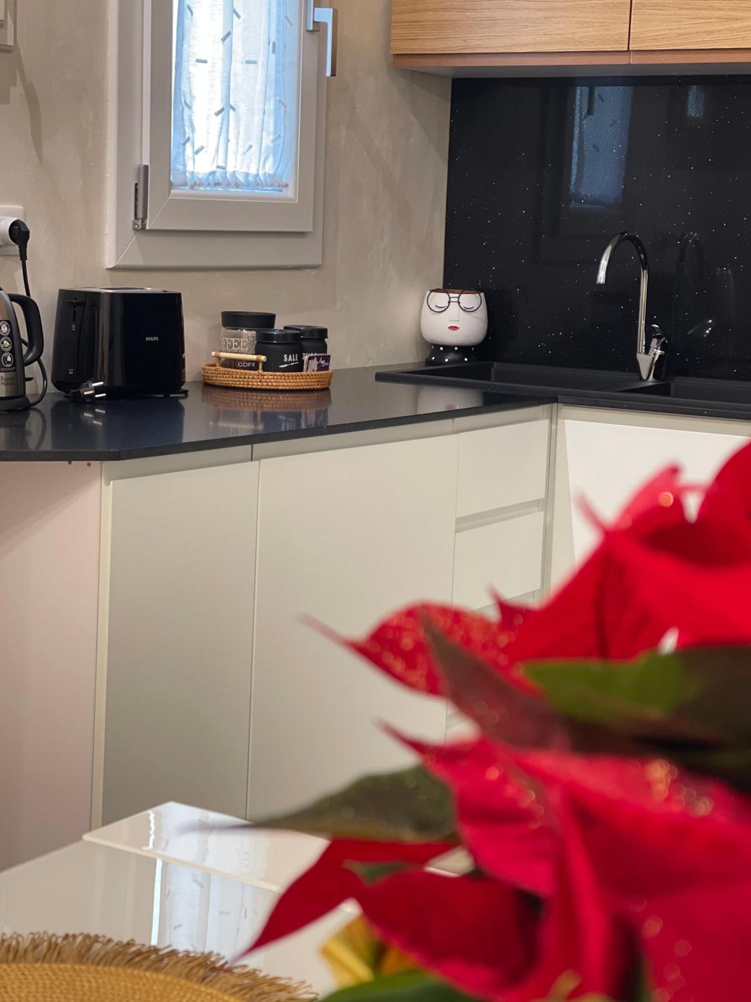 Magicflo Santa Croce Appartamento 佛罗伦萨 外观 照片
